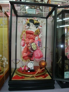 DSCF0582.JPG